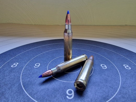 .223 Remington / 5,56 x 45 NATO Spezialgeschoss Blau
