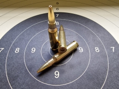 .308 Winchester / 7,62 x 51 NATO - Gold Hohlspitz